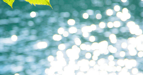 Utiliza la luz natural para capturar bellas fotografías